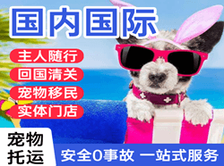 昌北机场快运国际宠物托运 【国